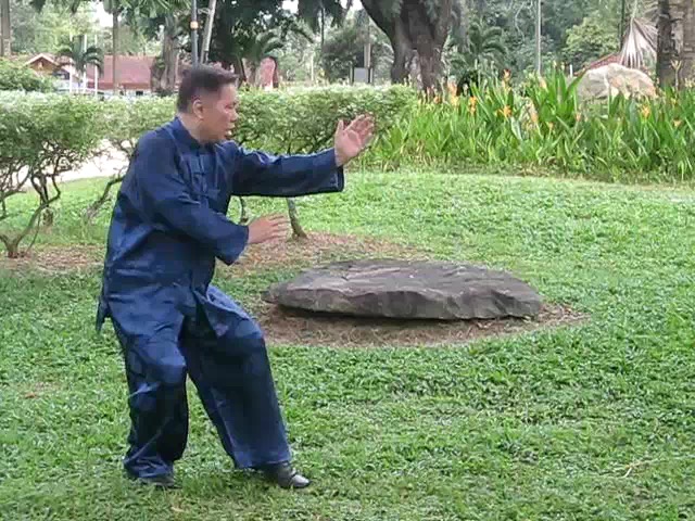 Wu Yu Xiang Style Taijiquan